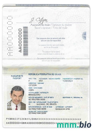 Paszport Brazylii (2016 -2019) przykład w formacie PSD, w pełni edytowalny